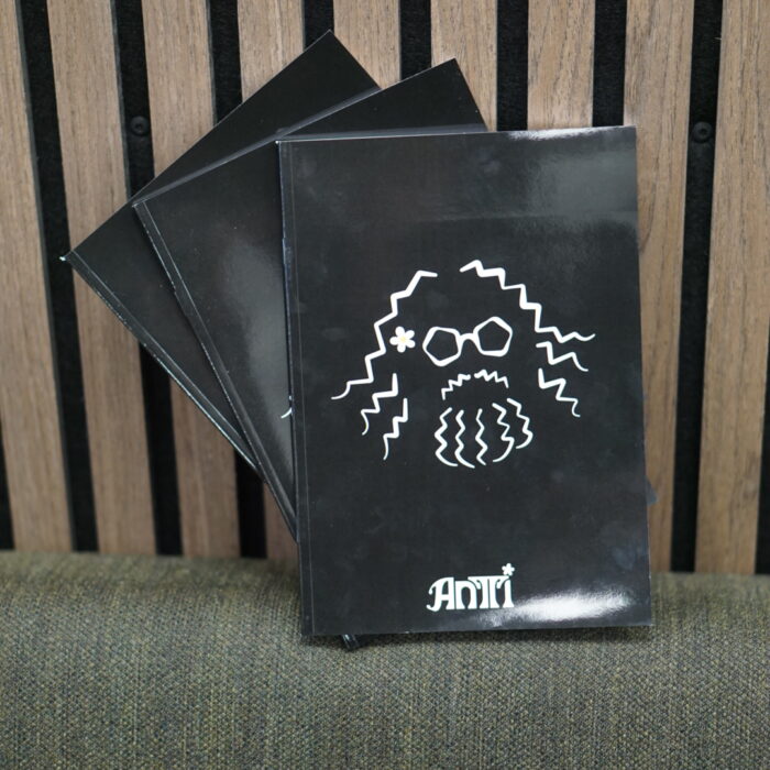 Antti Paalanen - VIHKO